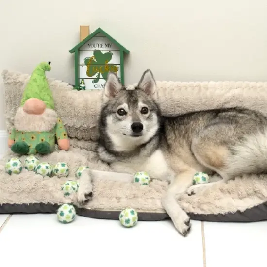 St, Patrick's Day Shamrock Dog Tennis Balls (Mini) image {4}