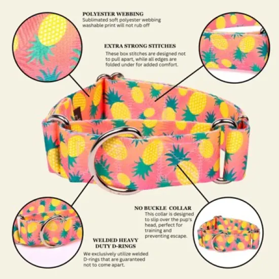 Country Brook Petz HossFit Jr Wide Martingale Dog Collar, Tasty Collection image {4}