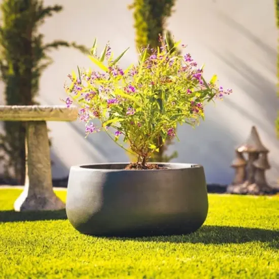 Rosemead Home & Garden, Inc. Concrete Outdoor Curvaceous Design Planter Pot Black 16"x16" image {1}