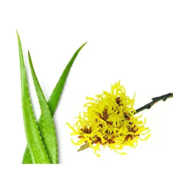 BEVEL Men's Skin Care Kit - Face Wash with Tea Tree Oil, Exfoliating Pads and Face Moisturizer - 10 fl oz/3pk image {10}