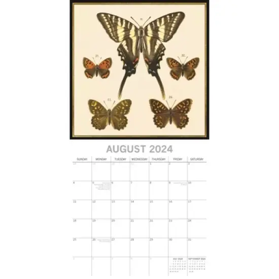 The Gifted Stationery 2024 Square Wall Calendar, Insects, 16-Month Arts & Antiques Theme with 180 Reminder Stickers (12x12 In) image {2}