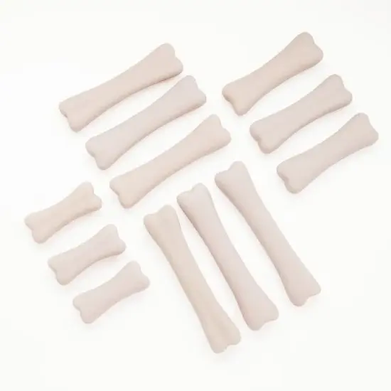 Yellow Door Dinosaur Bones Match & Measuring Set image {1}