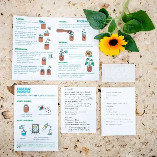 Back to the Roots Organic Sunflower Grow Kit image {4}
