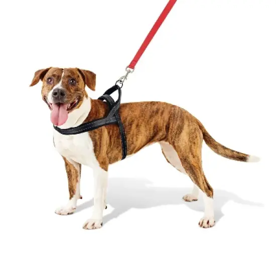 No Pull Comfort Dog Harness - Boots & Barkley&trade; image {5}