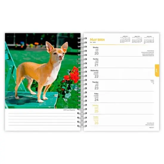Browntrout 23-2024 Weekly/Monthly Planner 7.5"x7.125" Chihuahuas image {2}