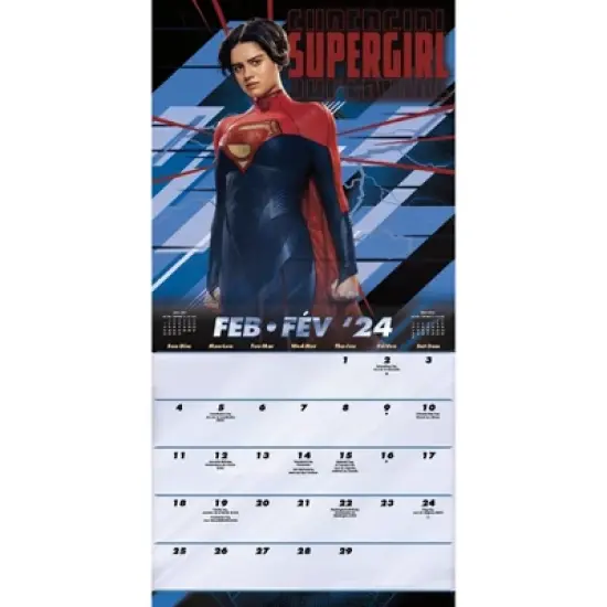 Trends International Inc. 2023-24 Wall Calendar 12"x12" DC Comics The Flash Bilingual English/French image {2}