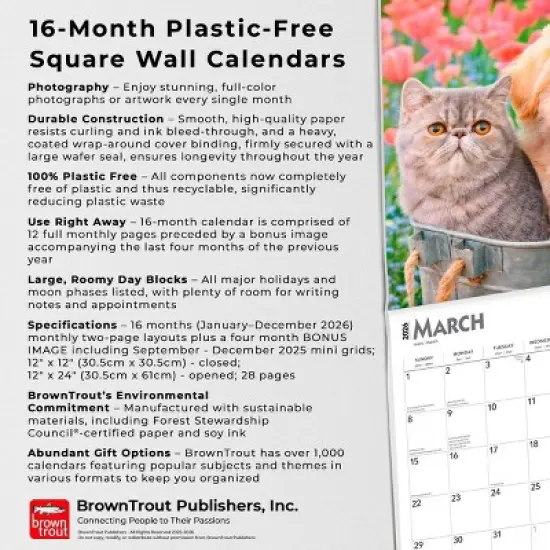 BrownTrout Kittens and Puppies 2026 12"x24" Hanging Square Wall Calendar Plastic-Free image {5}