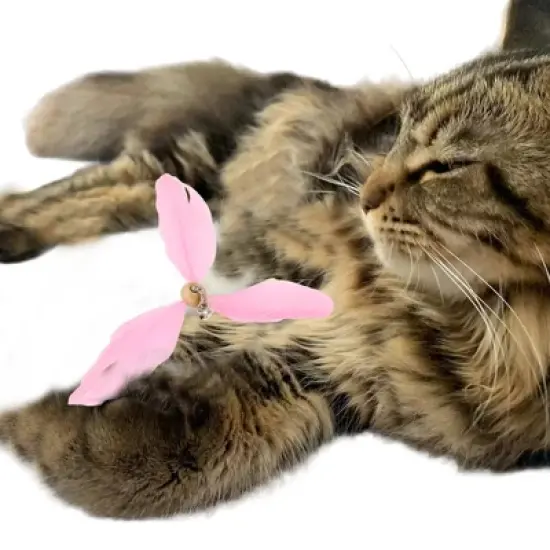 Unique Bargains Cat Feather Plaything Cat Wand Replacement Feathers Compact Hair Pink 3 Pcs image {3}