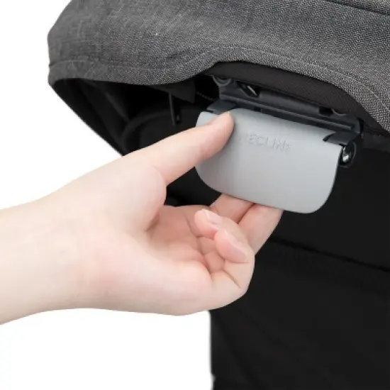 Evenflo Pivot Xpand Modular Stroller image {14}