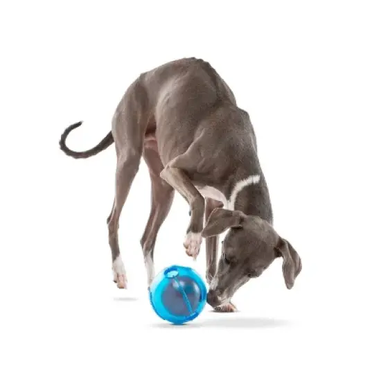 GURU Dog Ball Treat Dispenser Toy image {3}