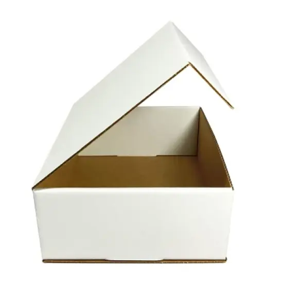 UBMOVE Bulk Pack of 50 White Corrugated Mailer and Literature Boxes (9" x 6.5" x 1.75") image {3}