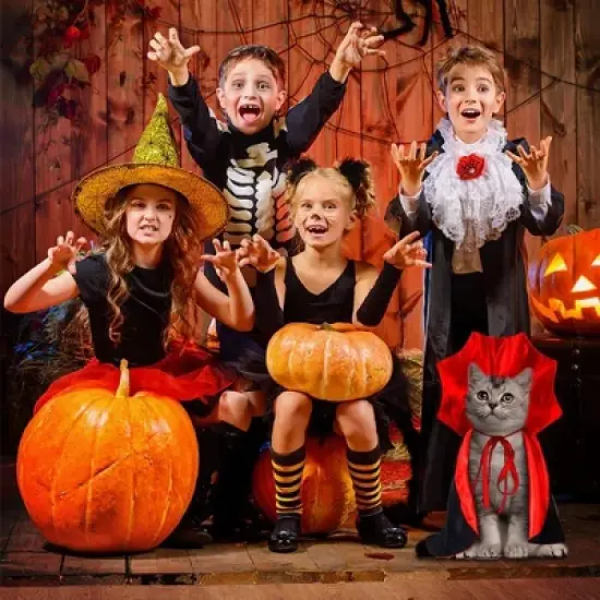 Halloween Pet Cape Costume - Vampire Cloak, Wizard Outfit, Witch Cosplay Apparel, Party Costumes for Small Medium Dogs image {5}