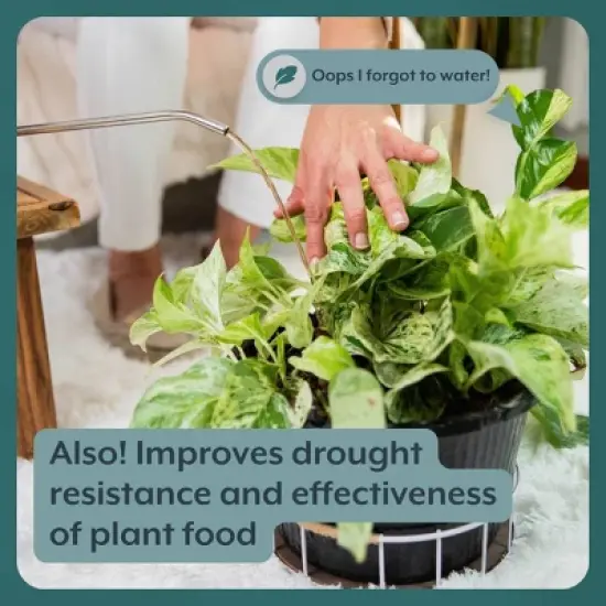 Instant Plant Food 3 pc 16 oz Watering Can & Fertilizer Houseplant Grow Kit: Durable, Leakproof, for Indoor Gardening image {4}