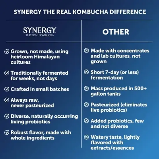 Synergy The Real Kombucha, Gingerade &ndash; 16 fl oz image {9}