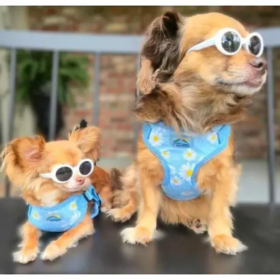 Doggie Design Wrap and Snap Choke Free Dog Harness by Doggie Design - Blue Daisy image {3}