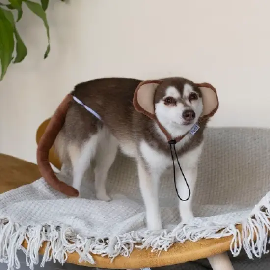 Midlee Monkey Headband & Tail Dog Costume image {4}