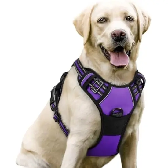 rabbitgoo Dog Harness No Pull with 2 image {4}