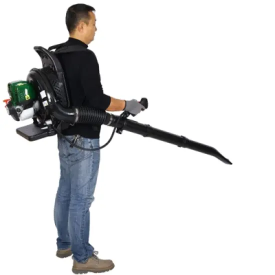 Dexmalle 4-STROKE BACKPACK LEAF BLOWER image {2}