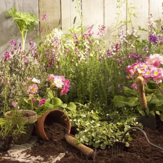 Flexrake Classic Hand Trowel with Steel Blades & Wooden Handle image {2}