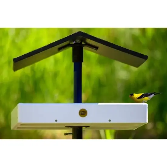 Bird Choice Modern Farmhouse Seed Catcher Platform Pole Mountable Tray Bird Feeder 2.5" White image {3}