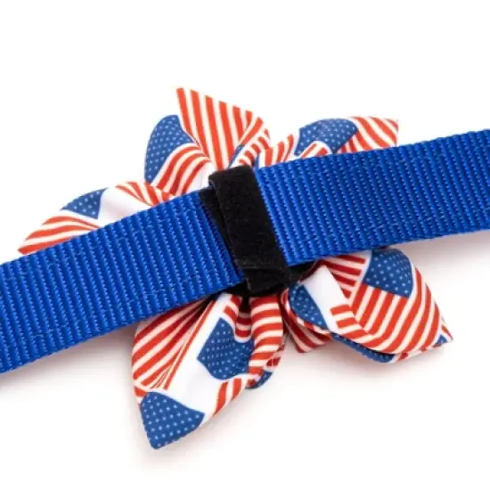The Worthy Dog Patchwork Flag Adjustable Flower Accessory image {1}