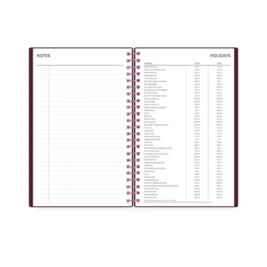 Blue Sky Weekly/Monthly Month Planning Calendar 5"x8" Elvy image {8}