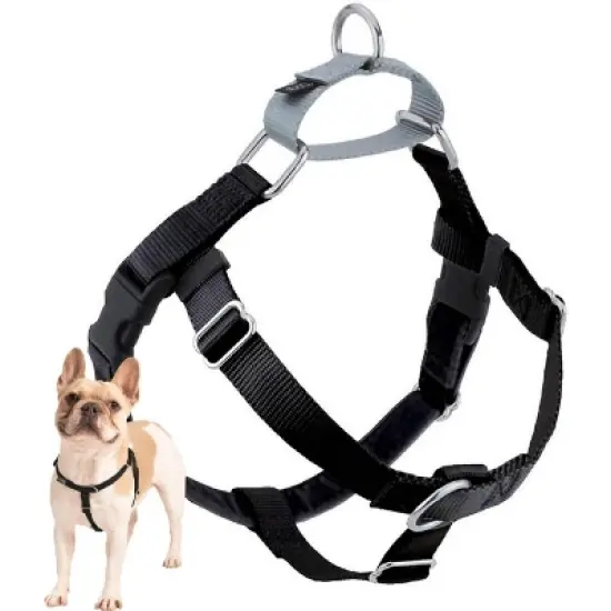 2 Hounds Design Freedom No Pull Dog Harness X-Small Black image {5}