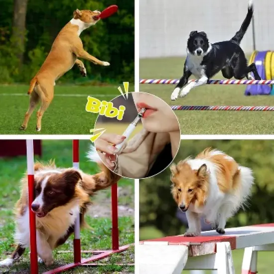 2 Pack Dog Whistle, Adjustable Ultrasonic Silent Dog Whistle, Professional Recall Dog Training Whistles image {5}