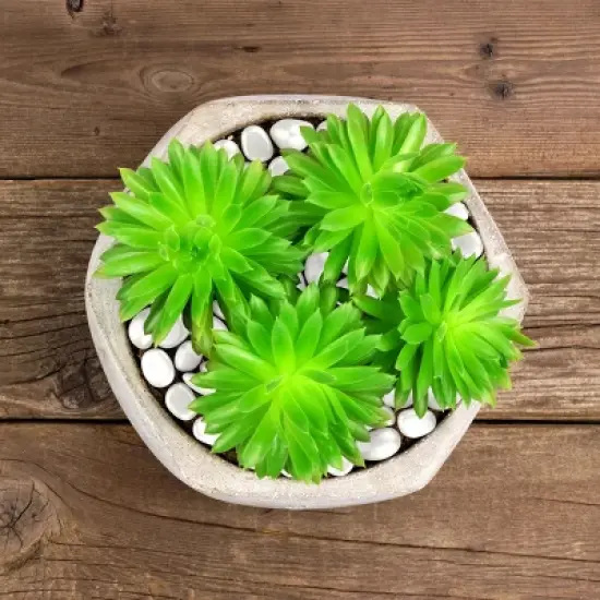 Solar Garden Stones - 500-Pack Glow in the Dark Pathway Pebble Lights - Decorative Glowing Rocks for Flowerbeds and Walkways by Pure Garden (Blue) image {4}