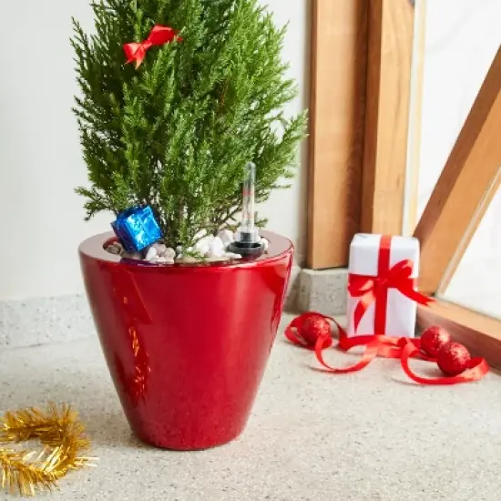 Syemin Planters Smart Self-watering Planter Pot for Indoor and Outdoor Round Cone, Garden Decor, Decorative Plant Pots, Balcony, Red 3"*11"*11" image {5}