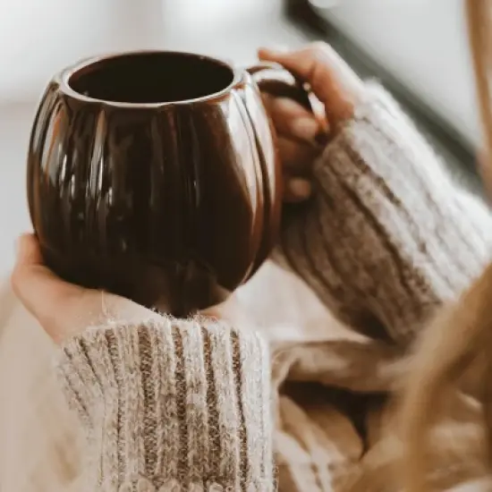 Sweet Water Decor Brown Pumpkin Figurine Mug - 19oz image {2}