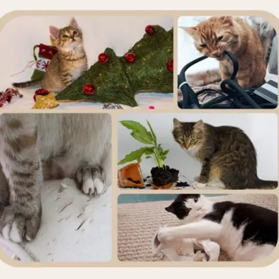 FURNIinspire Cat Tree for Indoor Cats, Cat Tower with Scratching Posts, Ramp, Condo, Toy Balls, Platform, Bed, Ramp, Beige, 23.5"*15.75"*38.5" image {2}