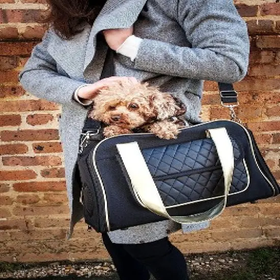 Pet Life Airline Approved Mystique Fashion Pet Carrier image {1}