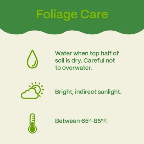 8" Foliage - Good Little Garden&trade; image {5}