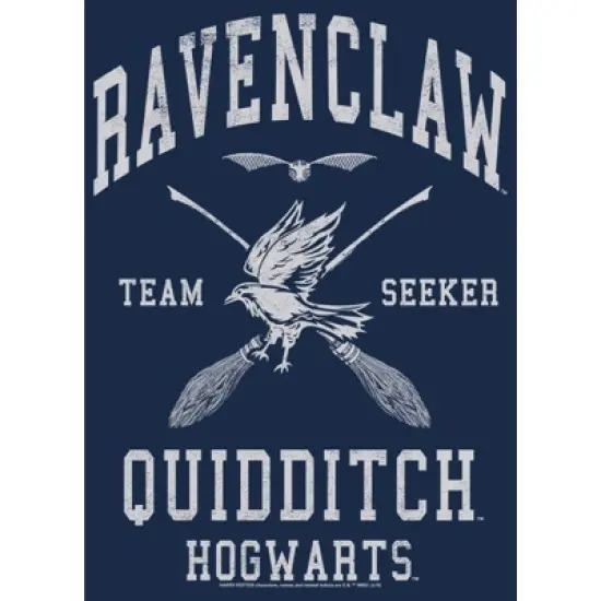 Men's Harry Potter Ravenclaw Quidditch Seeker T-Shirt image {1}