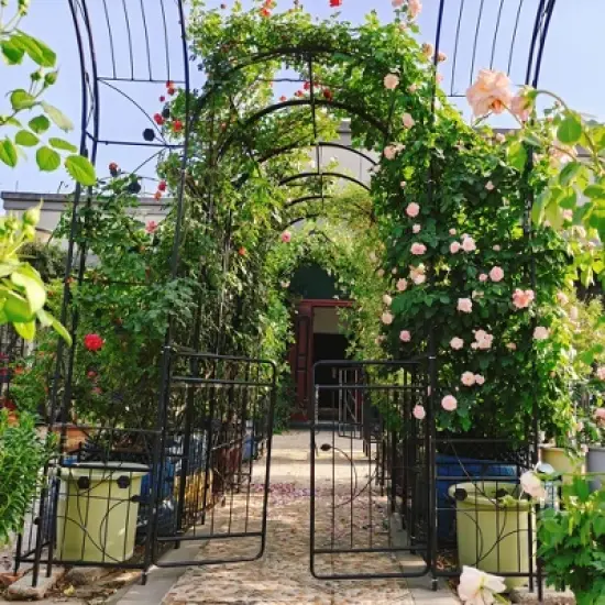 Dexmalle Metal Garden Arch with Gate image {3}