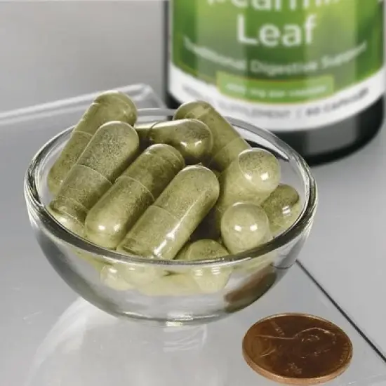 Swanson Herbal Supplements Full Spectrum Spearmint Leaf 400 mg 60 Caps image {1}