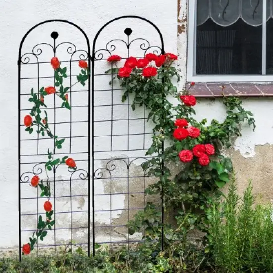 2 Pack Metal Garden Trellis, Rose Climbing Trellis 86'' X 40'' Rustproof Plant Support Rose Trellis Netting Trellis, Flower Trellis-Cuddlewood image {7}