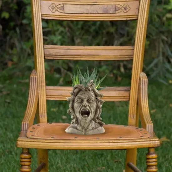 Darware Resin Medusa Head Planter, Garden Decor Statue Flower Pot image {5}
