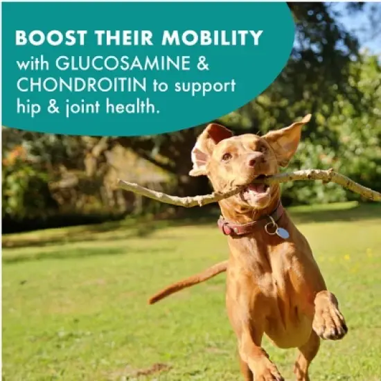 Buddy Biscuits Chicken Hip & Joint Chews Dog Treats - 5oz image {6}