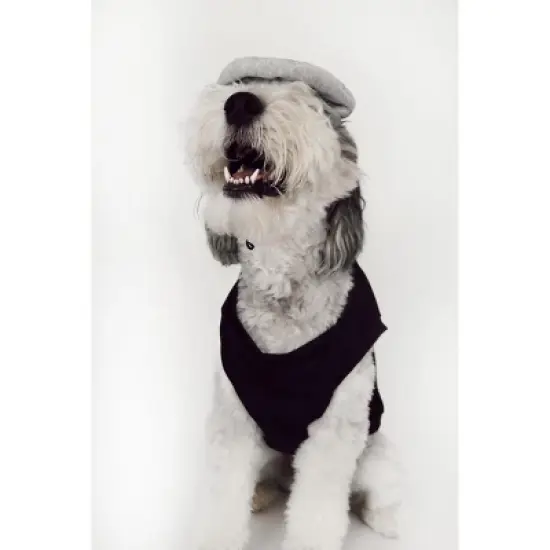 Midlee Salt & Pepper Dog Costume (Salt, X-Large) image {6}