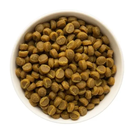 Zukes Mini Naturals Soft Chews with Vitamins & Minerals Salmon Flavor Training Dog Treats - 16oz image {2}