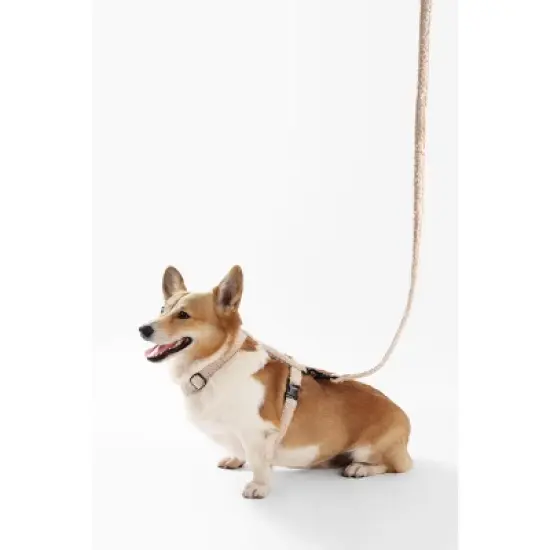 THE LICKER STORE Teddy Boucle Adjustable H Harness and Leash Walk Set with Poop Bag Pouch image {6}