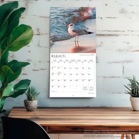 BrownTrout Michigan Nature 2026 12"x24" Hanging Square Wall Calendar Plastic-Free image {4}