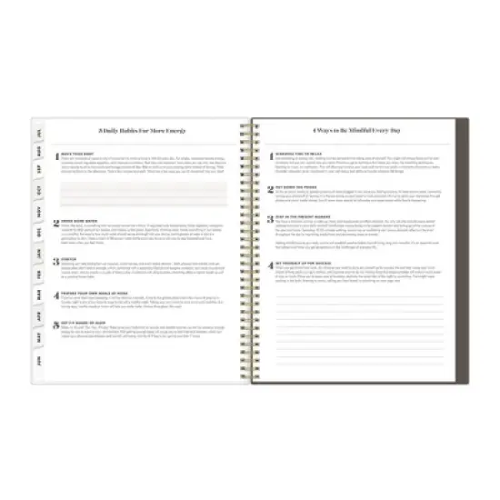 The Everygirl X Day Designer 2024-25 Weekly/Monthly Planner 11"x8.5" Wirebound Frosted Cover Senegal Tan: Adult Stationery, Tabs image {13}