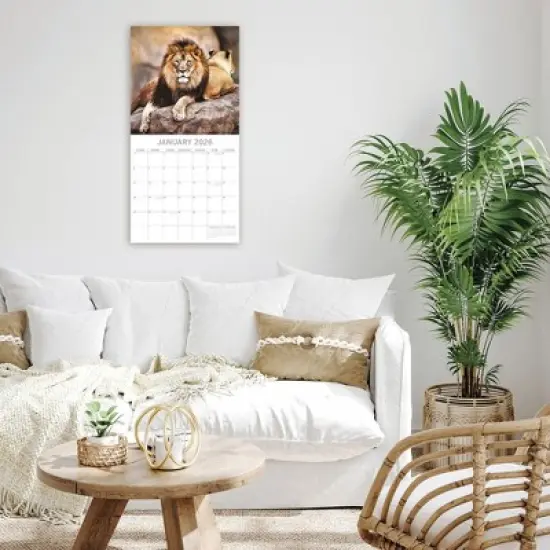 2026 Square Wall Calendar, Big Cats, 16-Month Animals Theme with 180 Reminder Stickers (12x12 In) image {1}