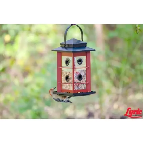 Lyric Fruit and Nut Wild Bird Seed - High Energy Wild Bird Food Mix - Attracts Woodpeckers, Chickadees & Other Songbirds -5 lb. Bag image {10}