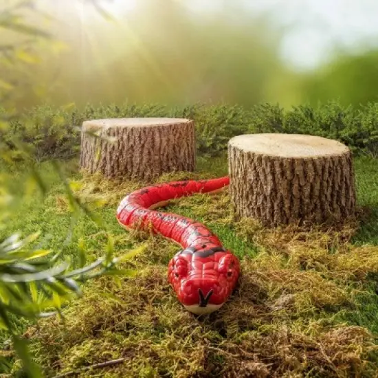 Terra by Battat &ndash; Remote Control Infrared Light-Up Snake - Rainbow Boa image {5}