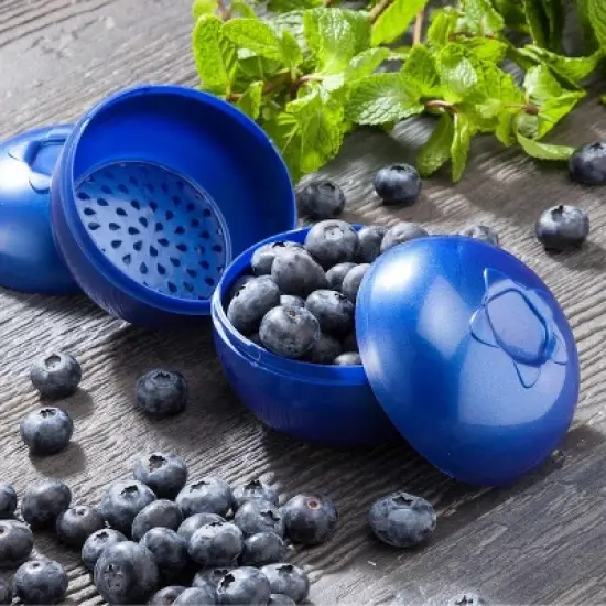 Hutzler Blueberries To-Go Bento Box, Blueberry Travel Lunch Storage Snack Container image {1}