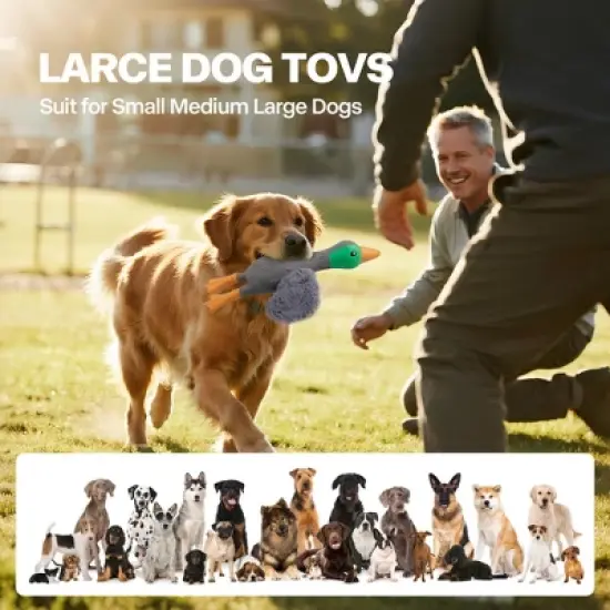 Allforpaws Squeaky Latex Dog Toys Filled with Crepe Paper Plush Wings, Soft Wing Mallard, 11.22", Gray image {4}